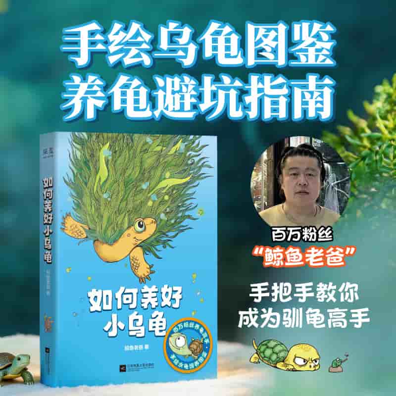 如何养好小乌龟