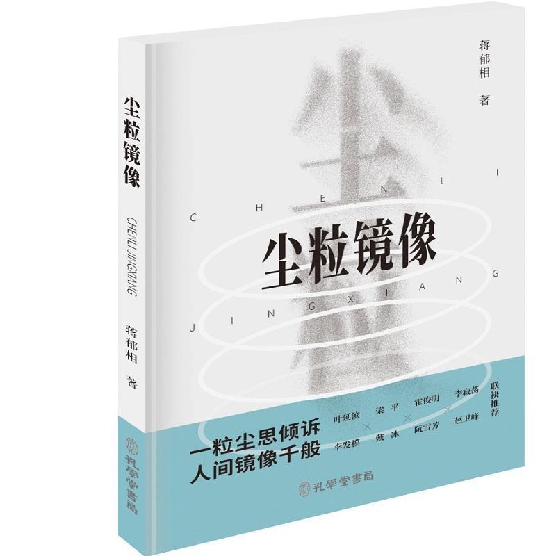 尘粒镜像